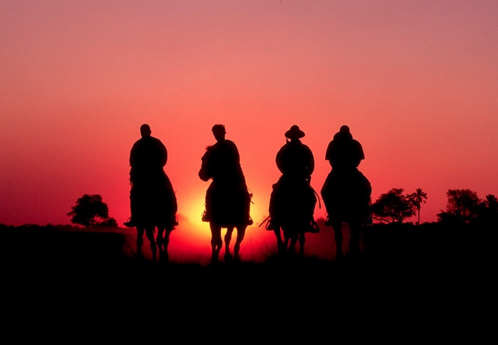 vakantie te paard vakantie te paard