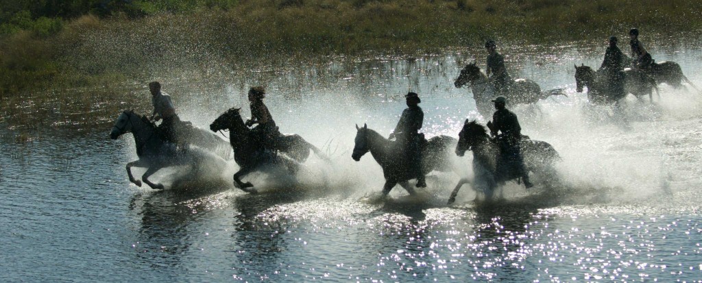 vakantie te paard vakantie te paard