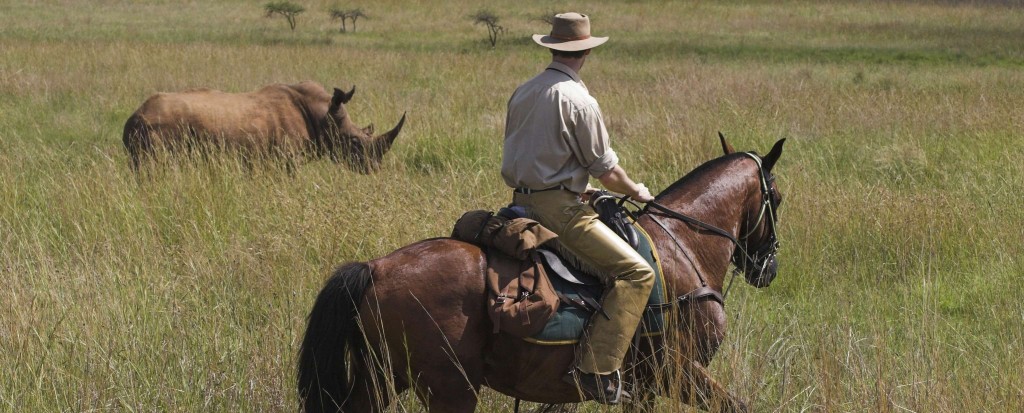 vakantie te paard vakantie te paard
