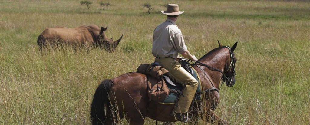 vakantie te paard