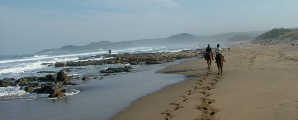 vakantie te paard vakantie te paard