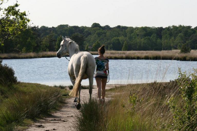 Vrouwen en paardrijden, Klaus Ferdinand Hempfling